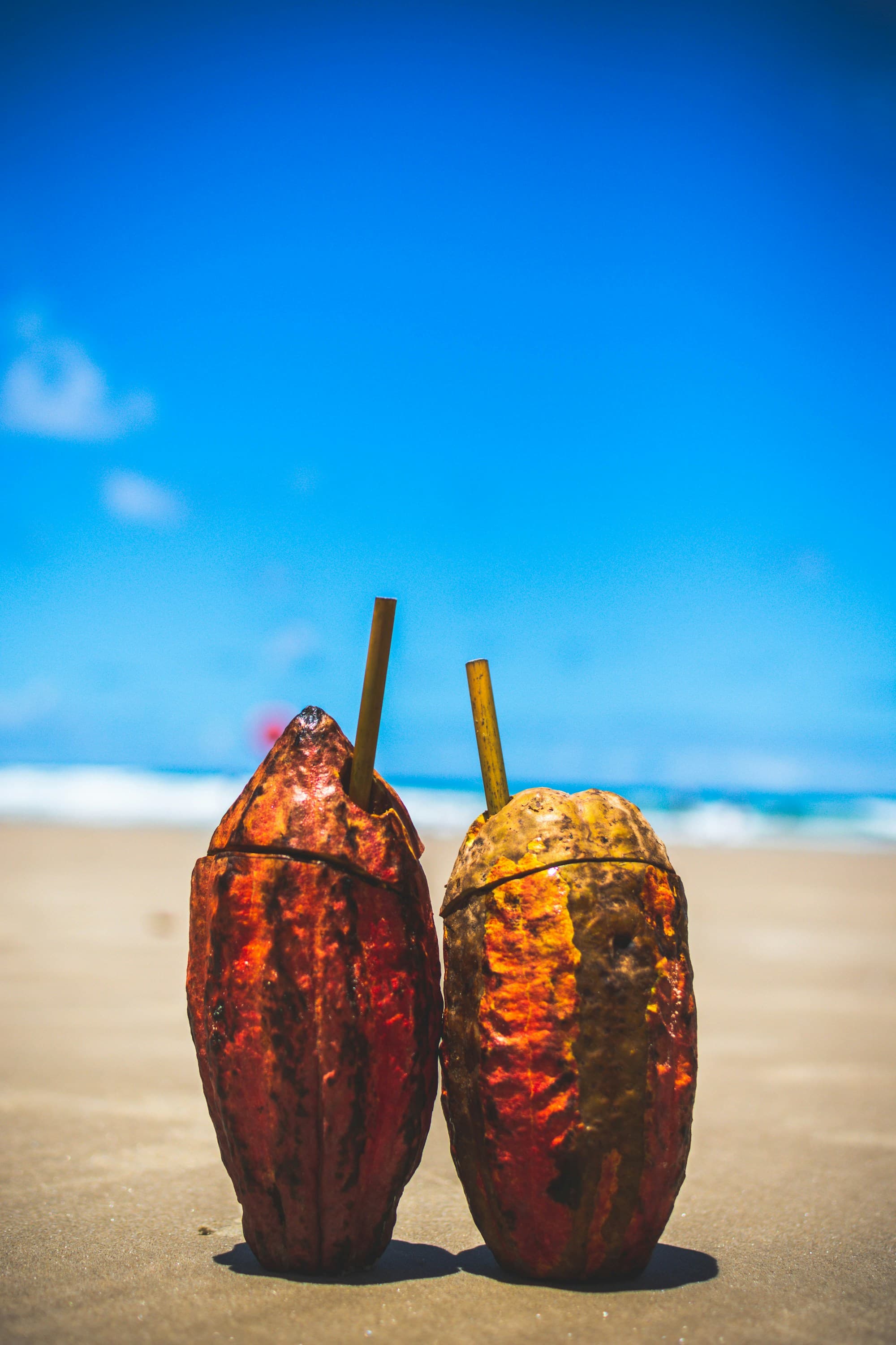 Two cacao pods opened and served as drinks, standing in the sand at the water's edge in Itacaré.