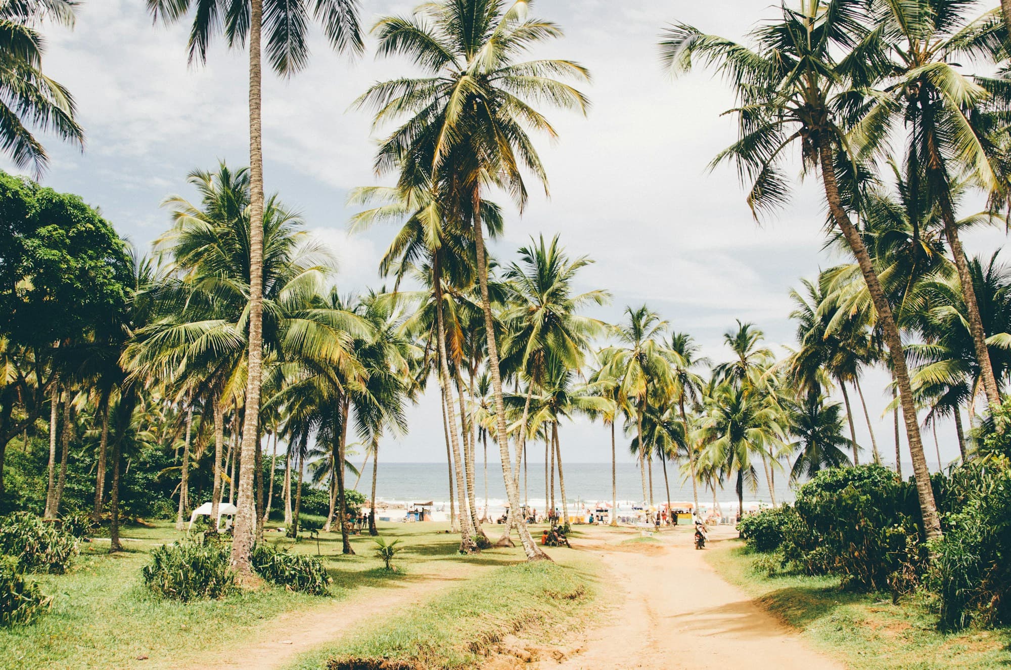 A sand track running through a coconut grove down to the sea in Itacaré.