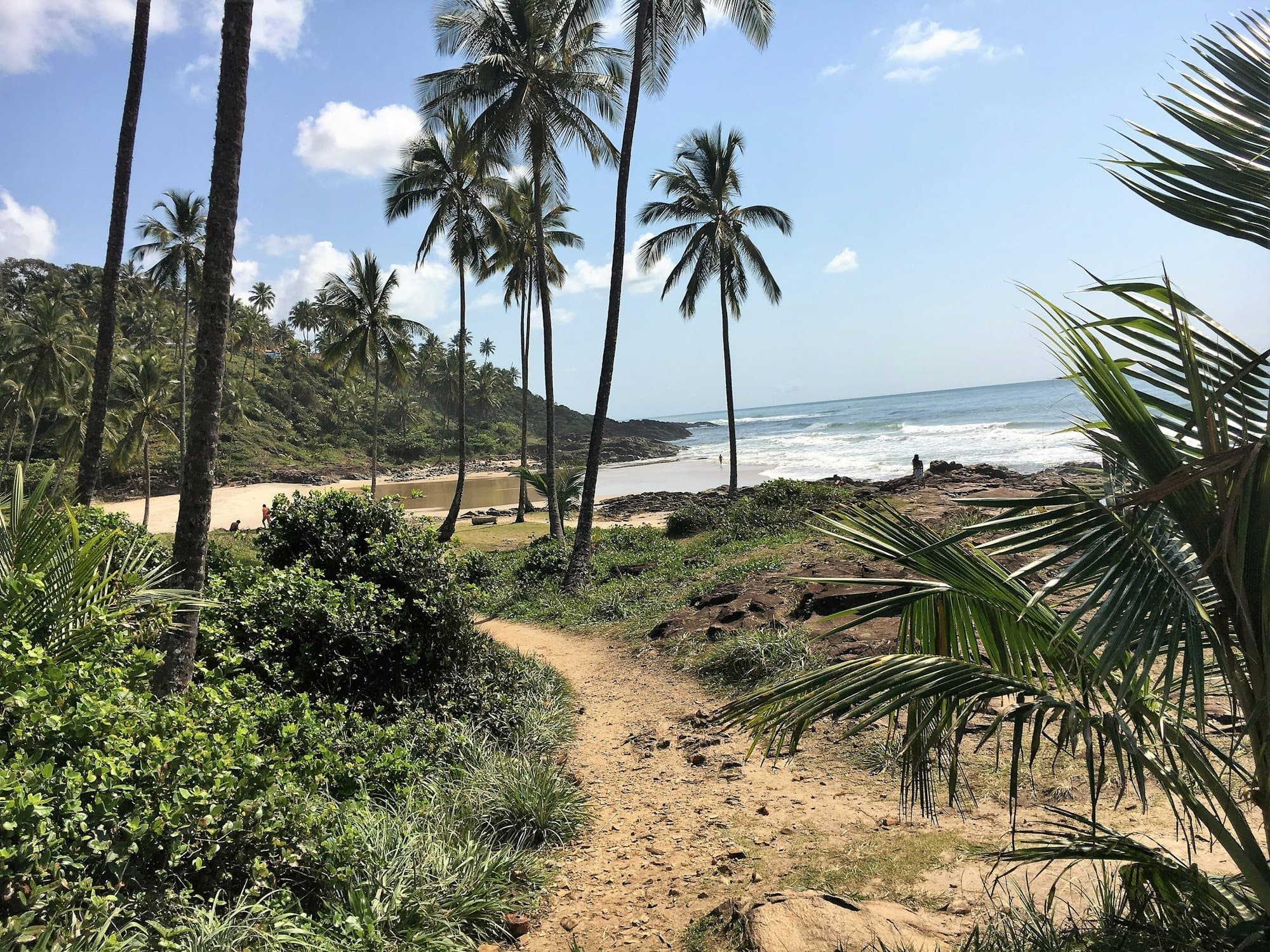 A sandy footpath through scrub and coconut palms, leading down to the sea at a beach in Itacaré.